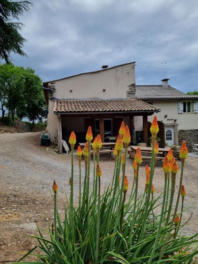 L'Oeil De Carcassonne Villa Caudebronde Exterior foto